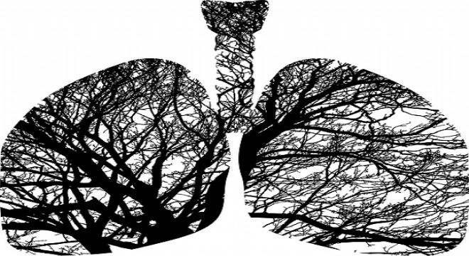 Akciğer kanserinin cerrahi tedavi şansı