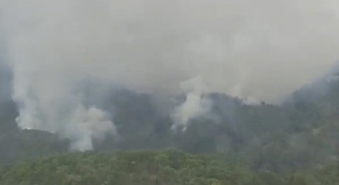 Antalya daki orman yangını kontrol altında