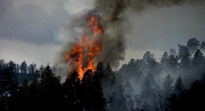 İzmir'deki orman yangınları kontrol altında