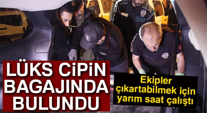 Lüks cipin bagajından eroin fışkırdı