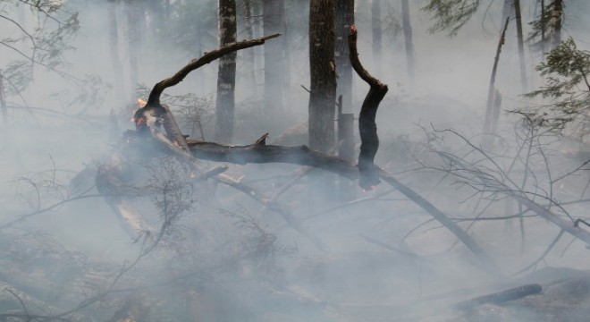 Orman yangınları kontrol altında