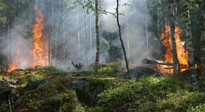 Uşak’taki orman yangını kontrol altına alındı