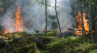 Bakan Yumaklı: Dün toplam 48 yangına OGM tarafından müdahale edildi