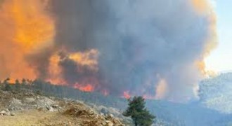 Provokatif Yangın Paylaşımlarına Yasal İşlem