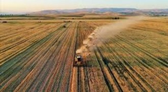 Tarım ÜFE Ocakta Aylık %8,46, Yıllık %43,58 Arttı