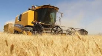 Tarımsal Girdi Fiyat Endeksi Yıllık %34,6 Arttı